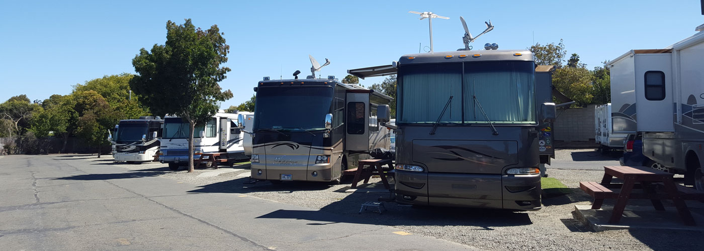 rv's lined up